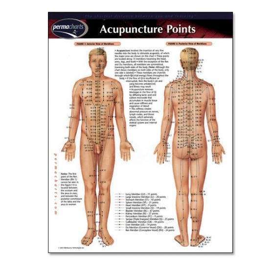 Acupuncture Points Chart Binder Size Chinese Medicine Education 