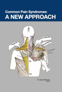 Common Pain Syndromes: A New Approach